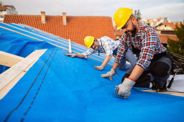 Roof Gutter Cleaning in La Grange, TX