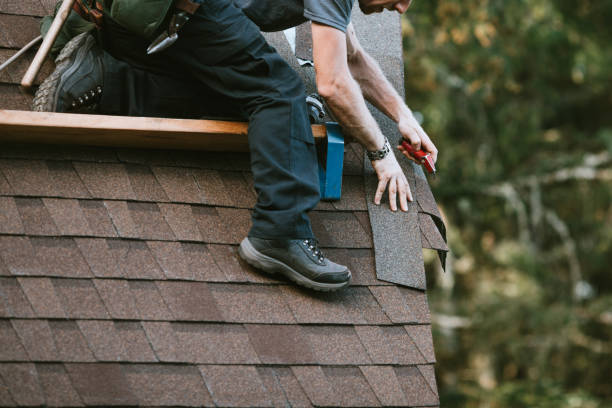 Best Roof Gutter Cleaning  in La Grange, TX